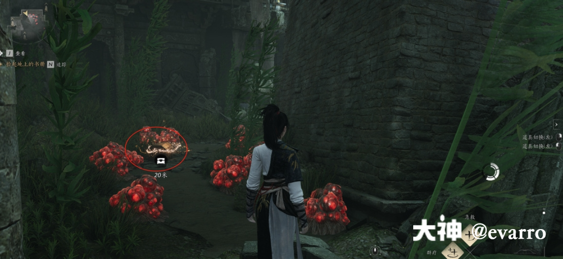 Treasure Chest in Qinghe - Prosperity Haven