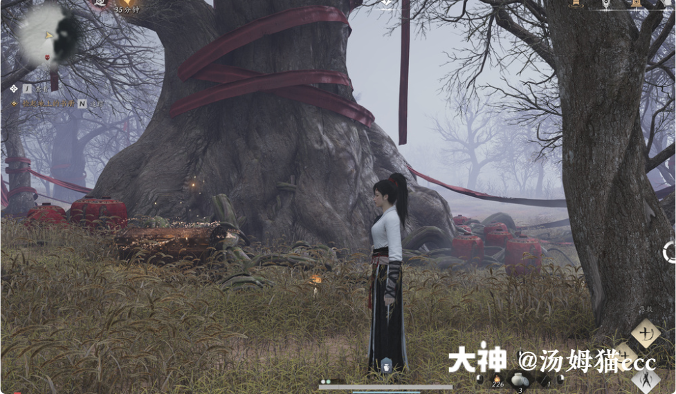 Treasure Chest in Qinghe - Wuyin Forest