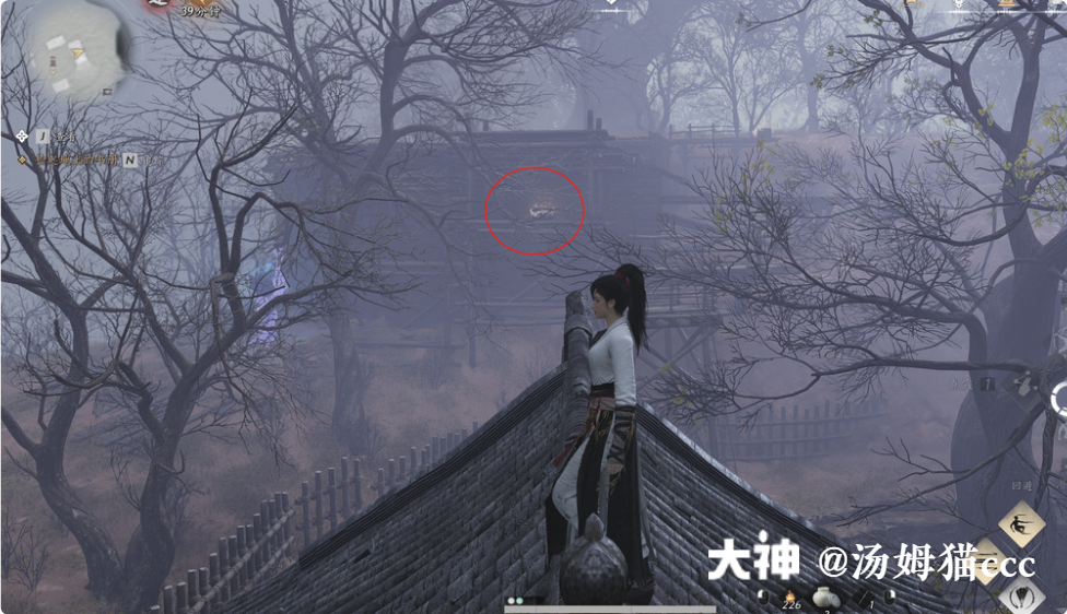 Treasure Chest in Qinghe - Wuyin Forest