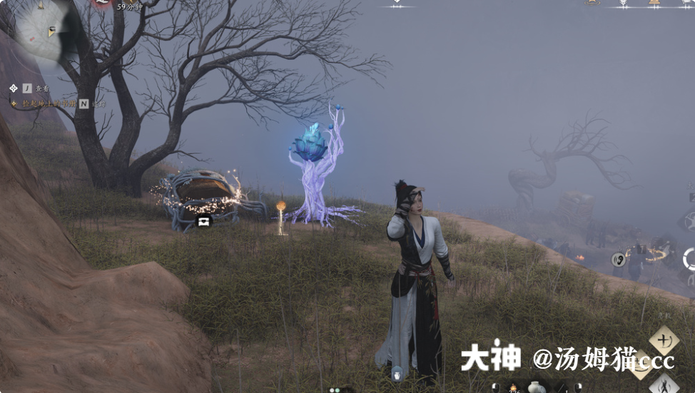 Treasure Chest in Qinghe - Wuyin Forest