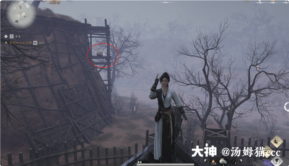 Treasure Chest in Qinghe - Wuyin Forest