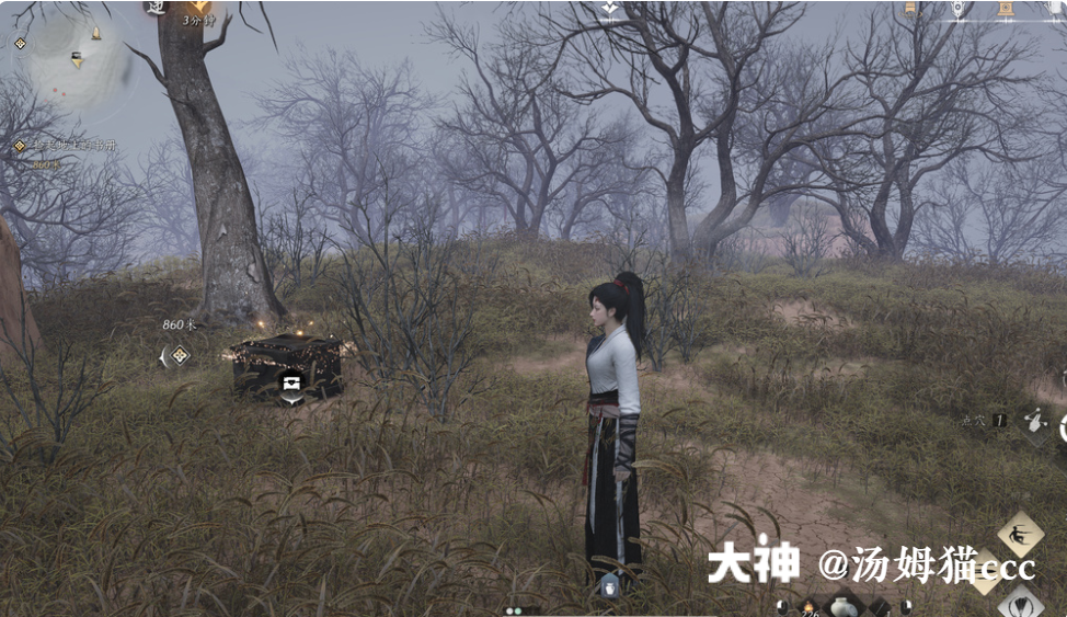 Treasure Chest in Qinghe - Wuyin Forest