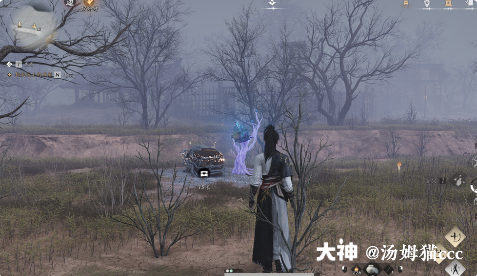 Treasure Chest in Qinghe - Wuyin Forest