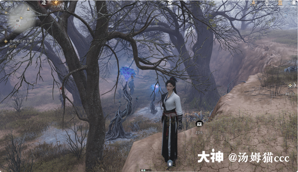 Treasure Chest in Qinghe - Wuyin Forest