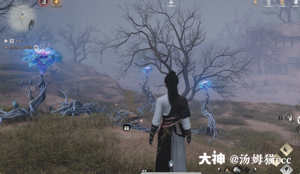 Treasure Chest in Qinghe - Wuyin Forest