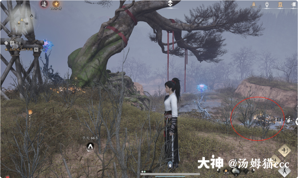 Treasure Chest in Qinghe - Wuyin Forest