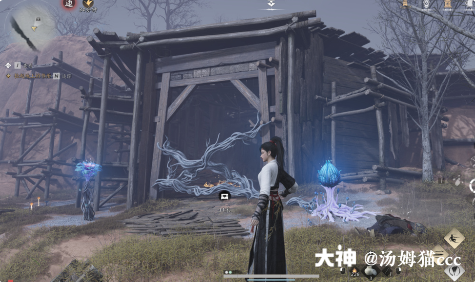 Treasure Chest in Qinghe - Wuyin Forest