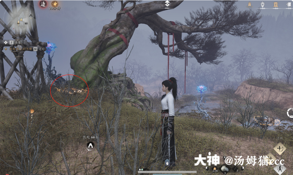 Treasure Chest in Qinghe - Wuyin Forest