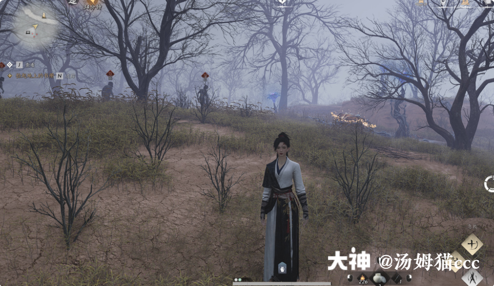 Treasure Chest in Qinghe - Wuyin Forest