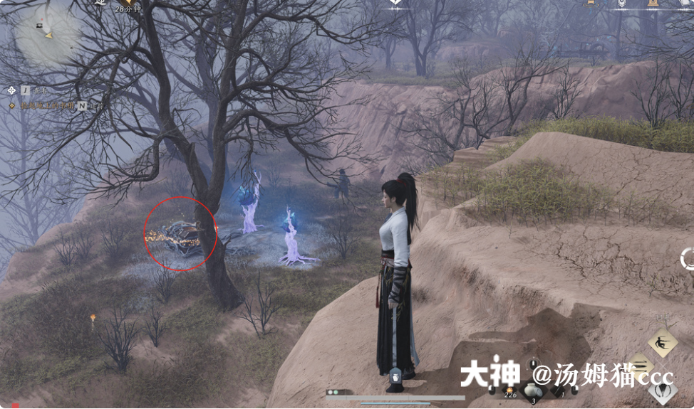 Treasure Chest in Qinghe - Wuyin Forest