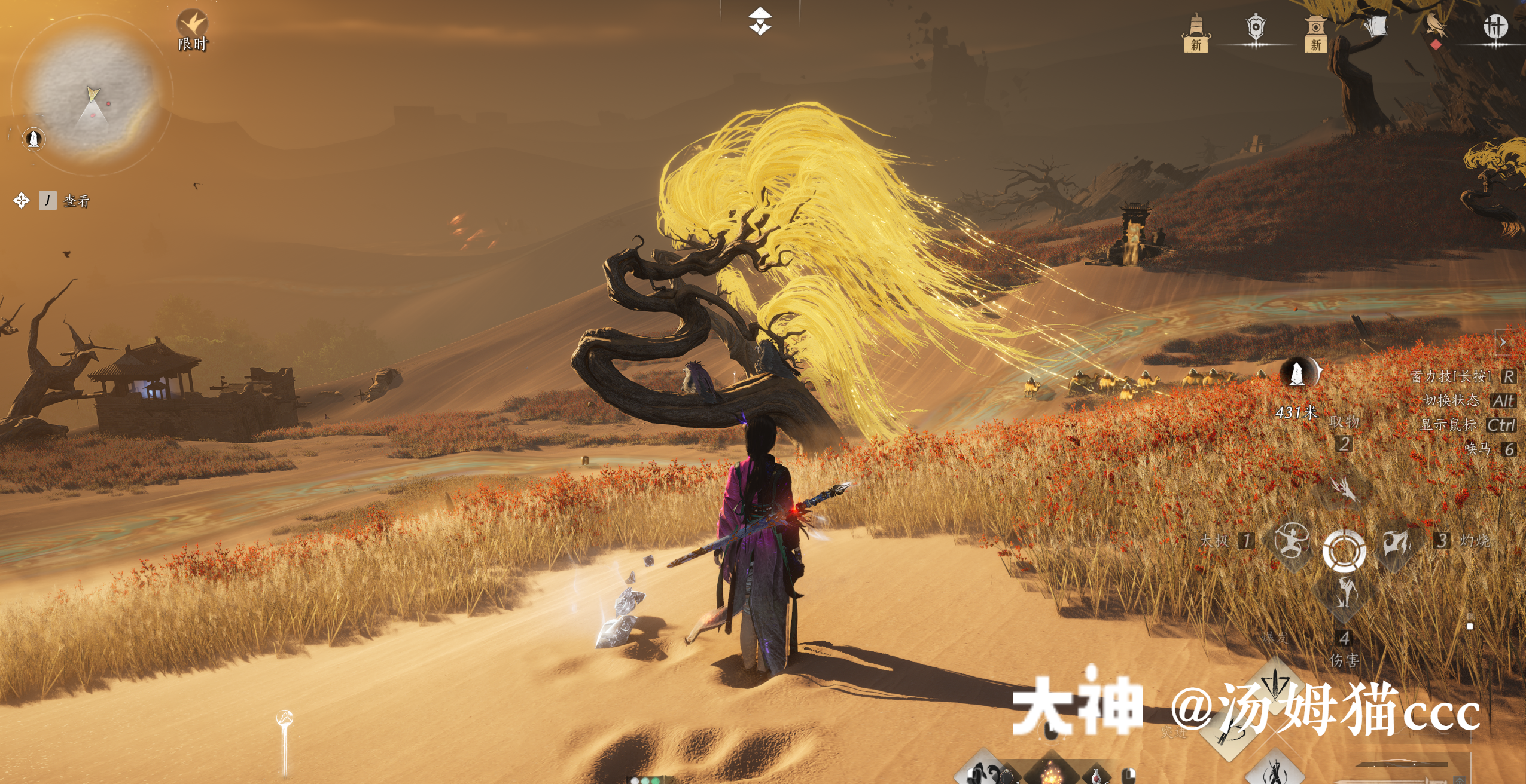 Treasure Chest in Kaifeng - Wildmane Ranch