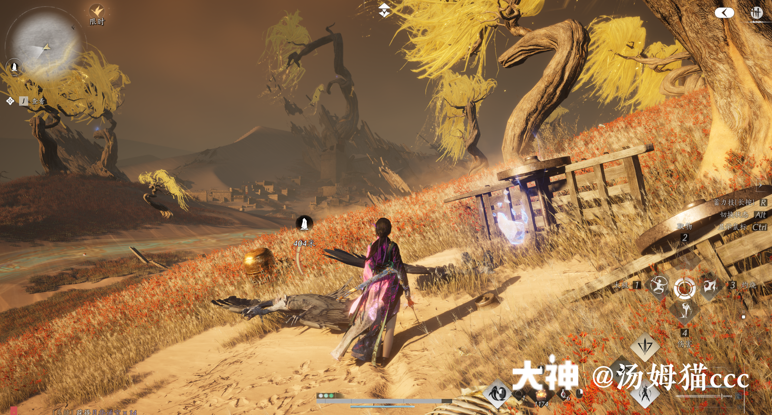 Treasure Chest in Kaifeng - Wildmane Ranch