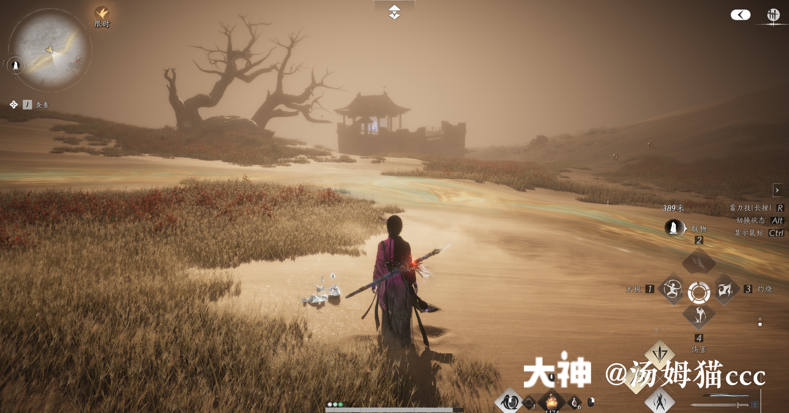 Treasure Chest in Kaifeng - Wildmane Ranch