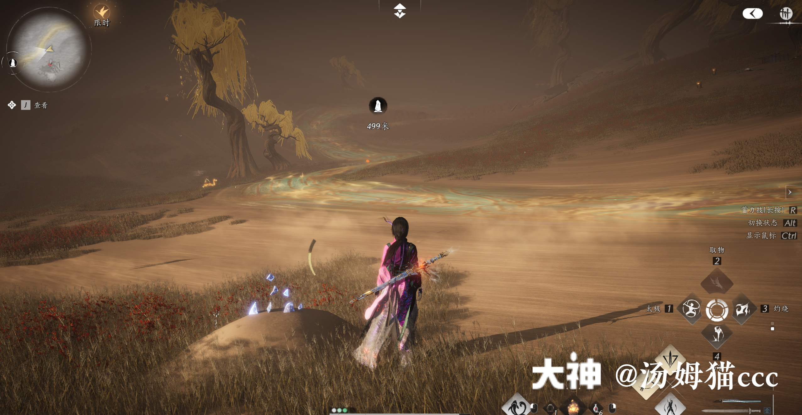 Treasure Chest in Kaifeng - Wildmane Ranch