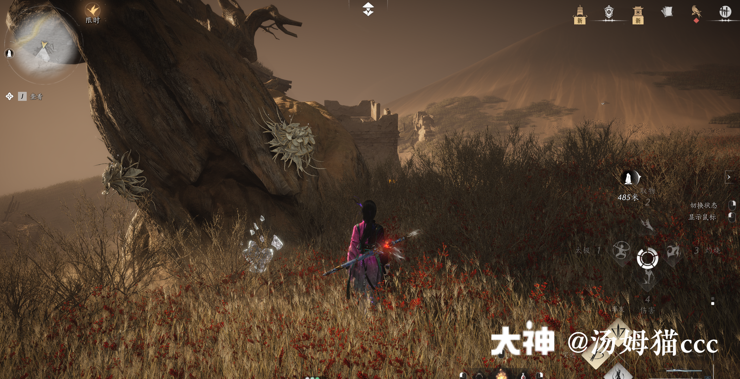 Treasure Chest in Kaifeng