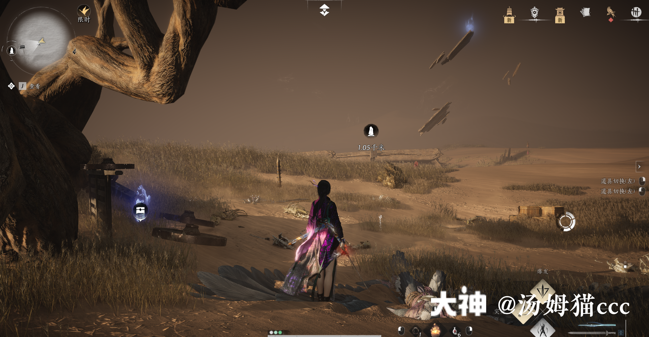 Treasure Chest in Kaifeng - Wildmane Ranch