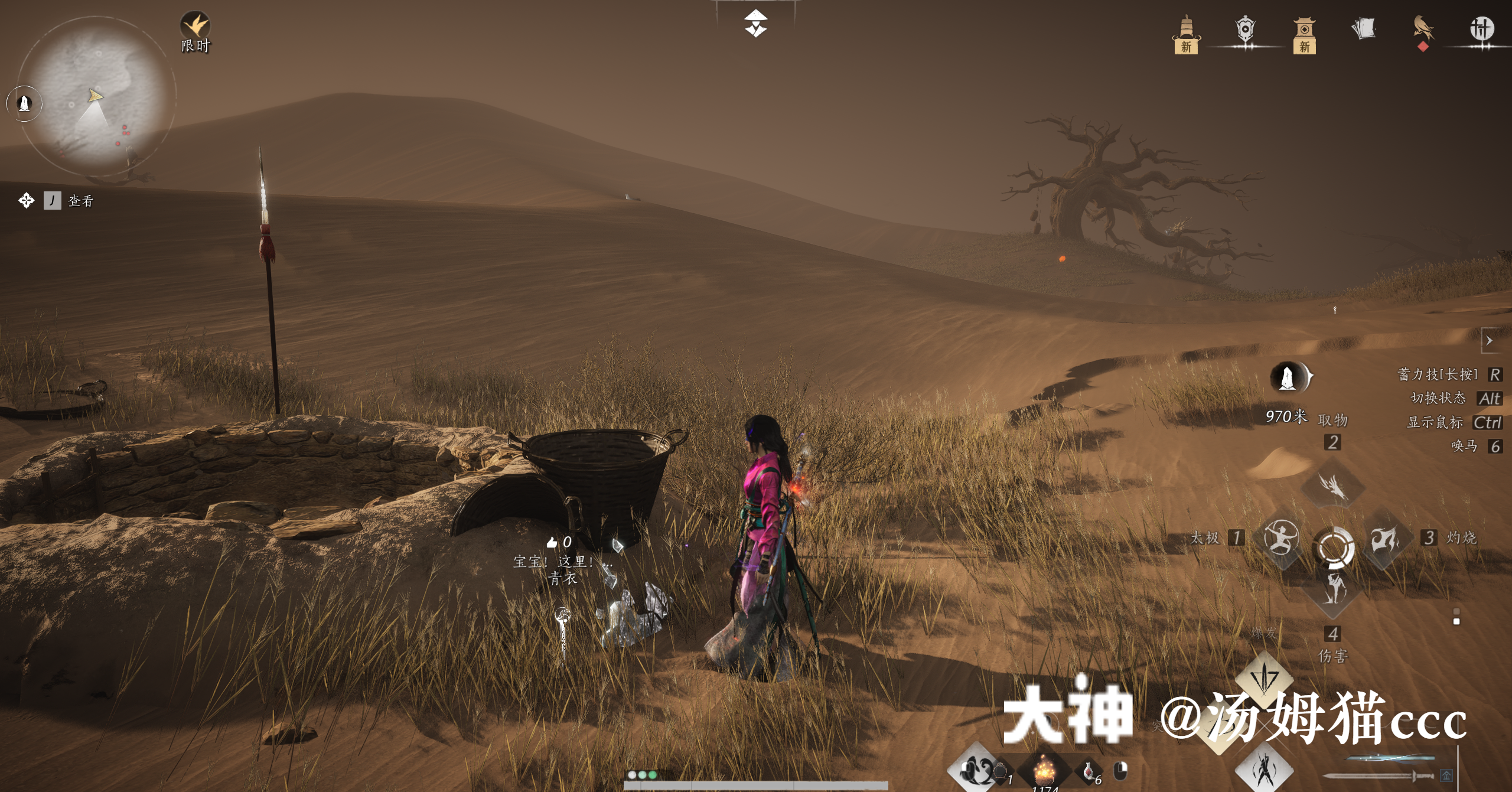 Treasure Chest in Kaifeng - Wildmane Ranch