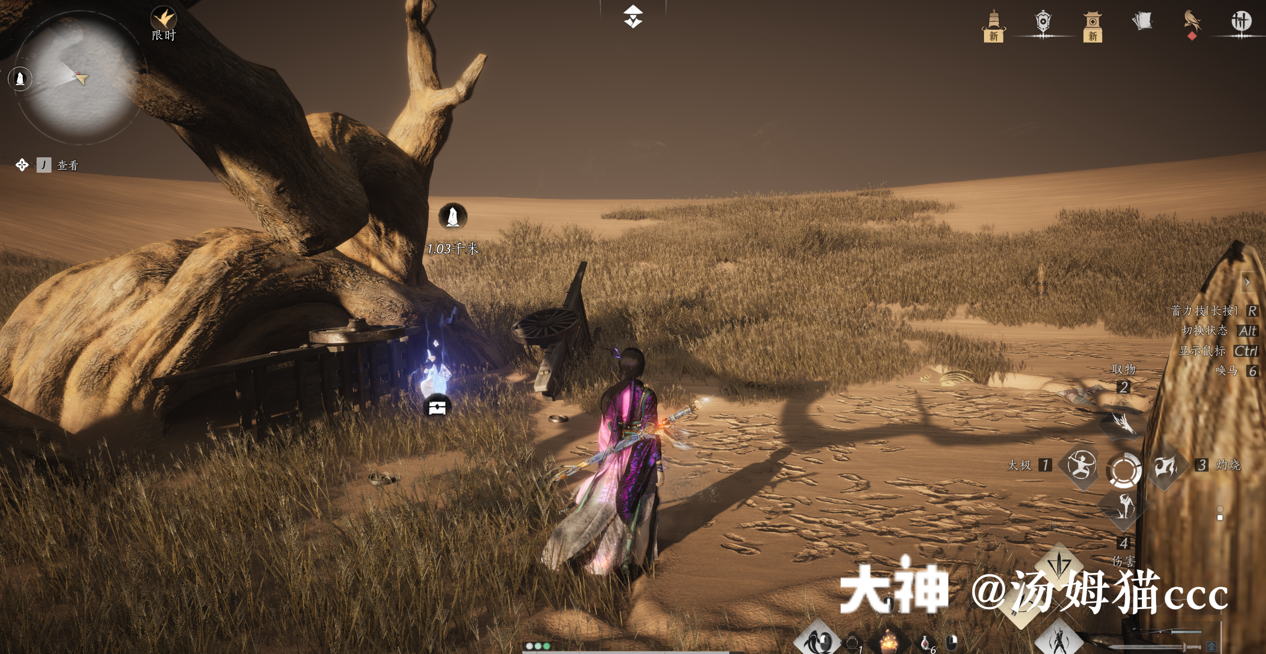 Treasure Chest in Kaifeng - Wildmane Ranch