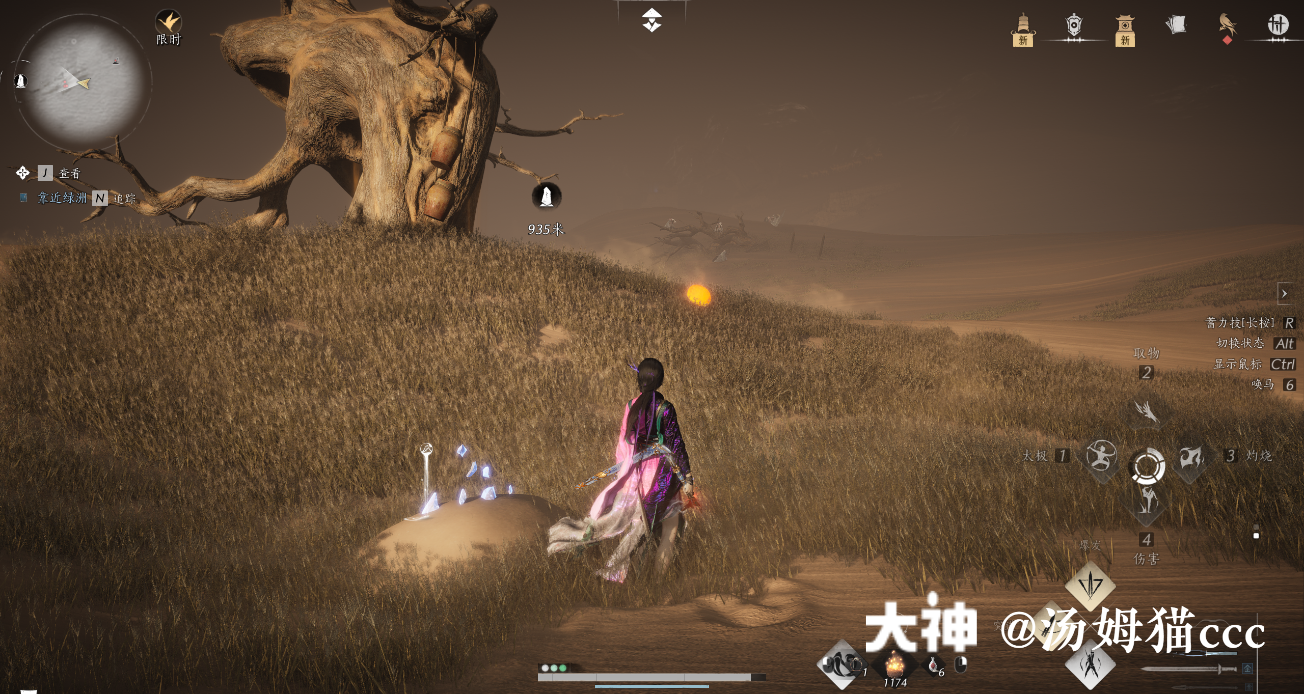 Treasure Chest in Kaifeng - Wildmane Ranch