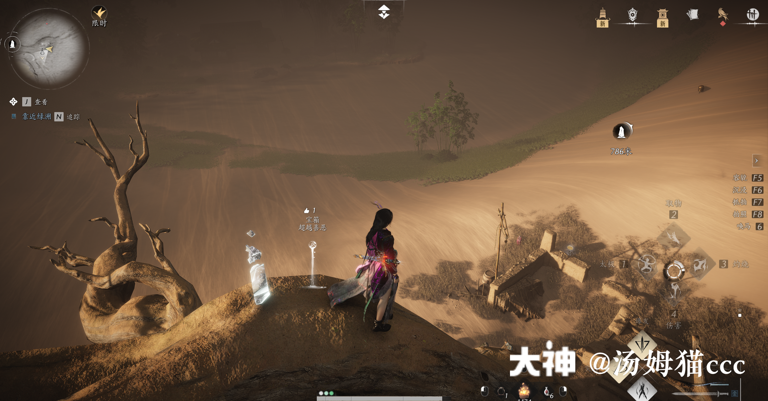 Treasure Chest in Kaifeng - Wildmane Ranch