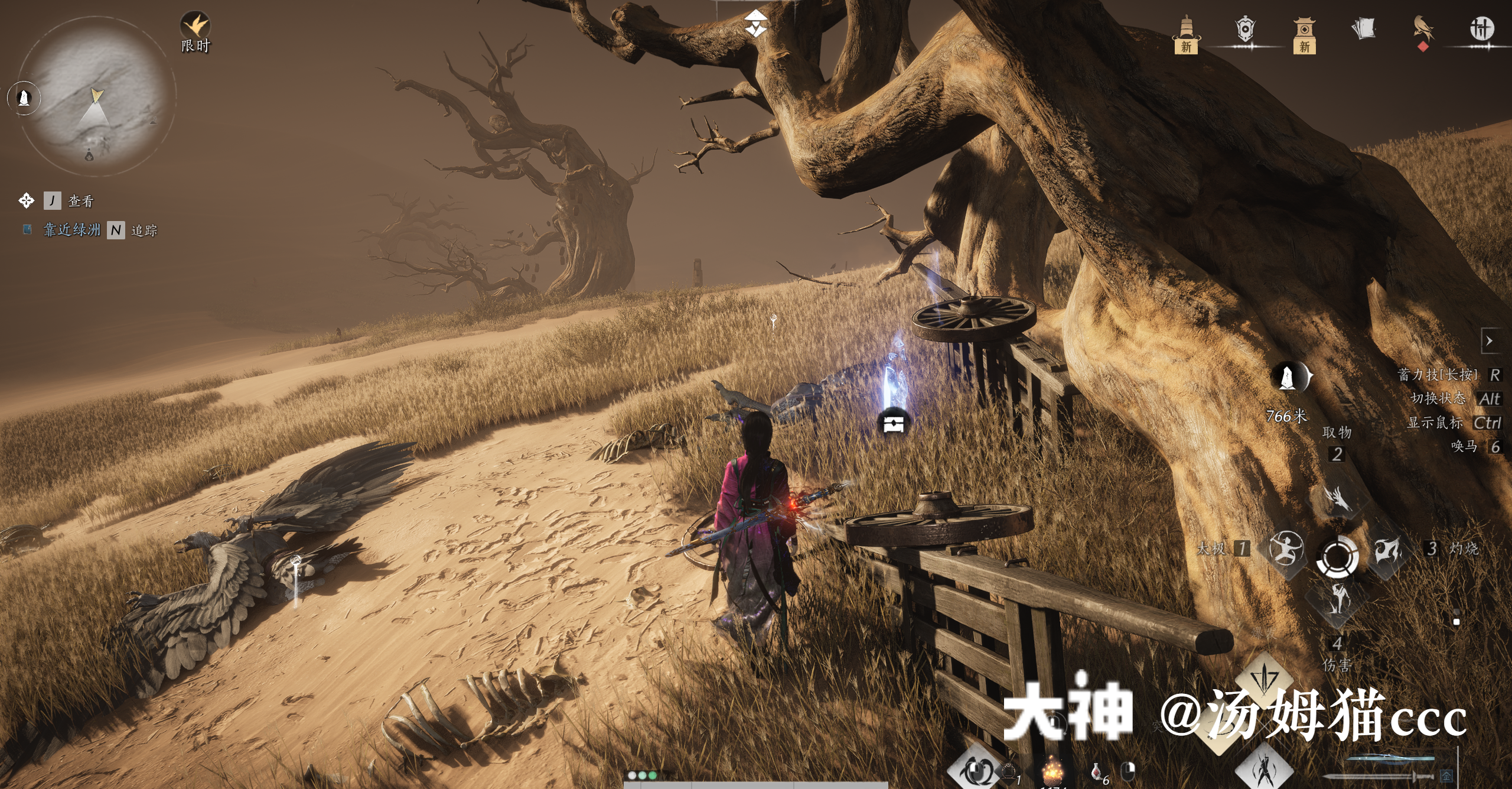 Treasure Chest in Kaifeng