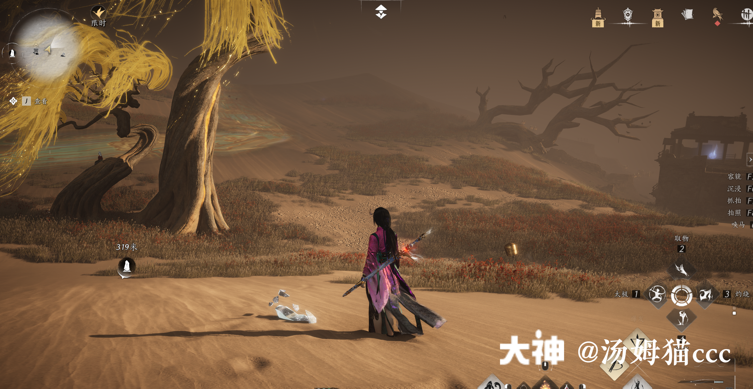 Treasure Chest in Kaifeng - Wildmane Ranch