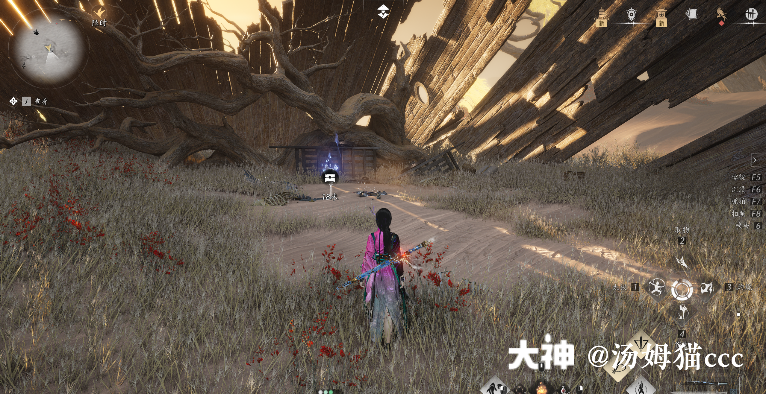 Treasure Chest in Kaifeng