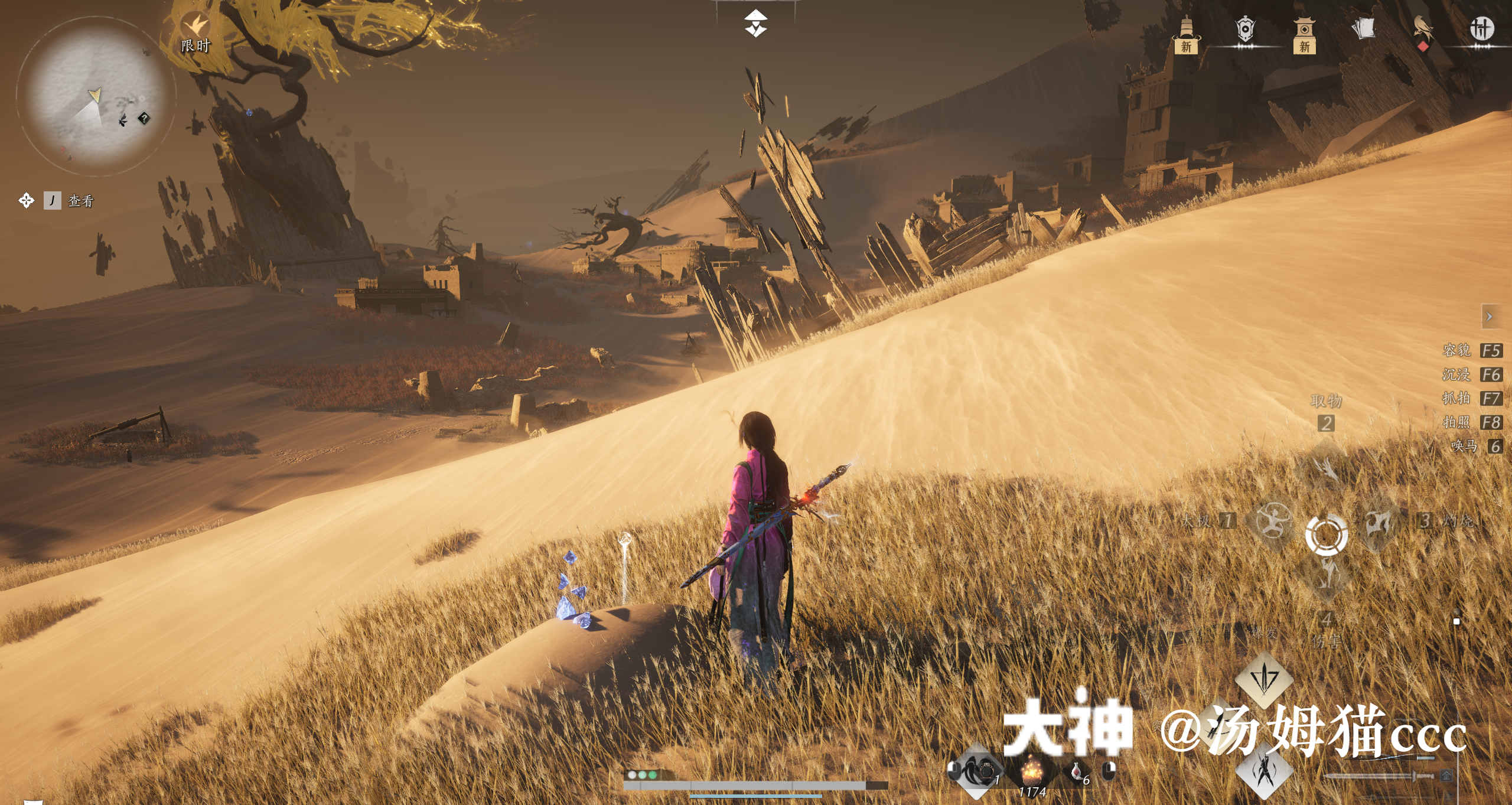 Treasure Chest in Kaifeng - Wildmane Ranch