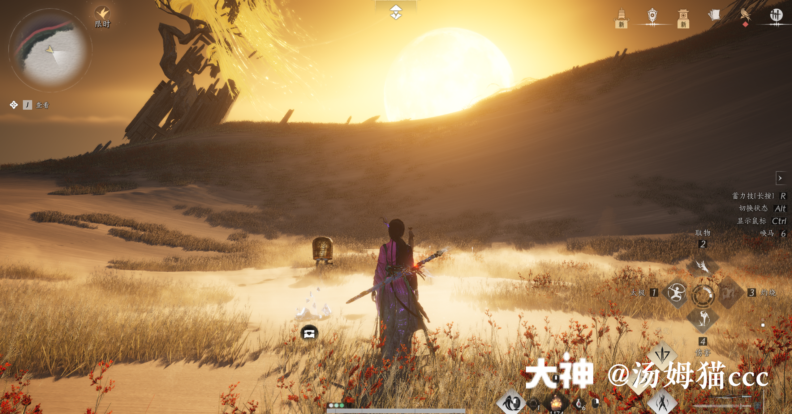 Treasure Chest in Kaifeng - Wildmane Ranch