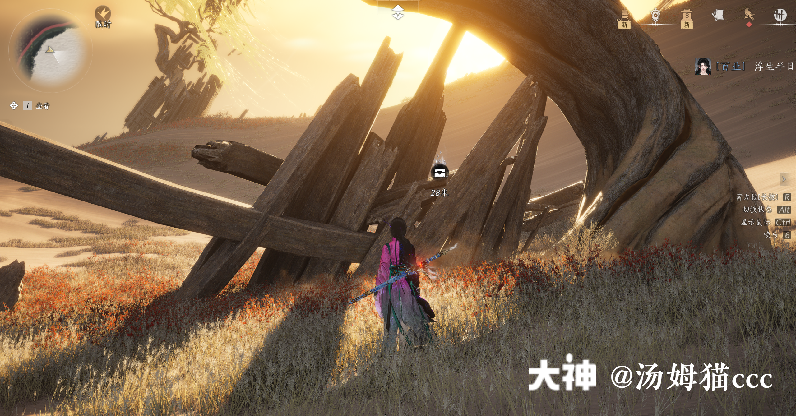 Treasure Chest in Kaifeng - Wildmane Ranch