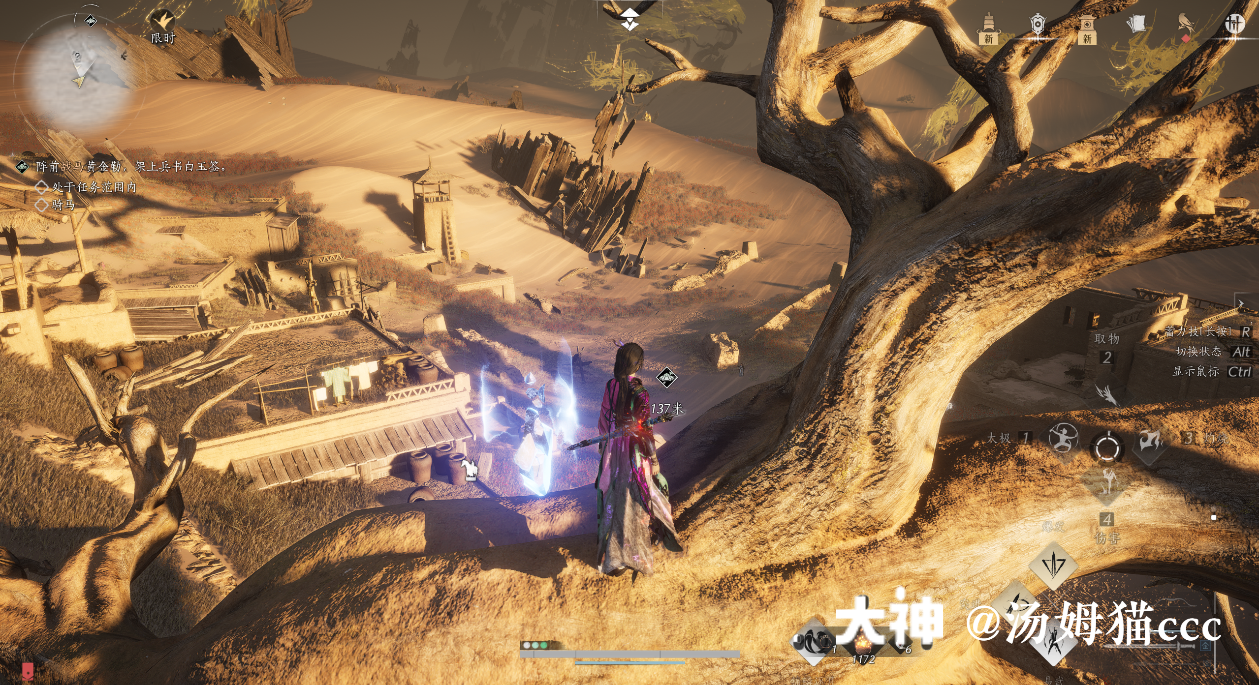 Treasure Chest in Kaifeng