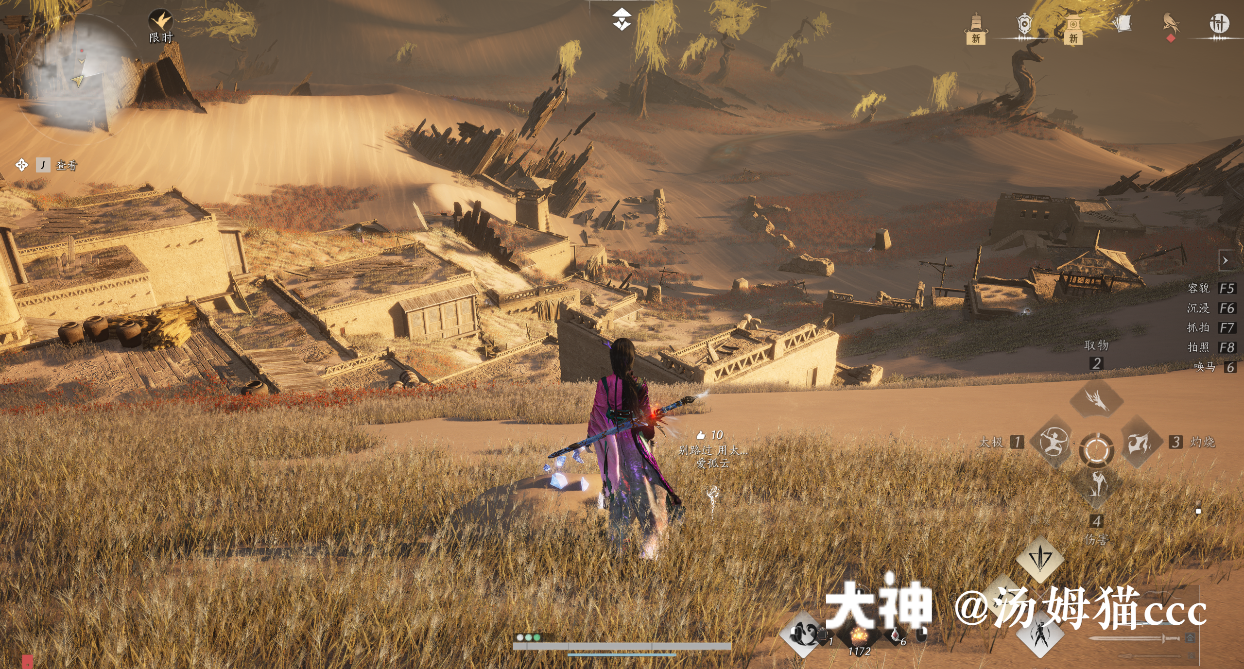 Treasure Chest in Kaifeng - Wildmane Ranch