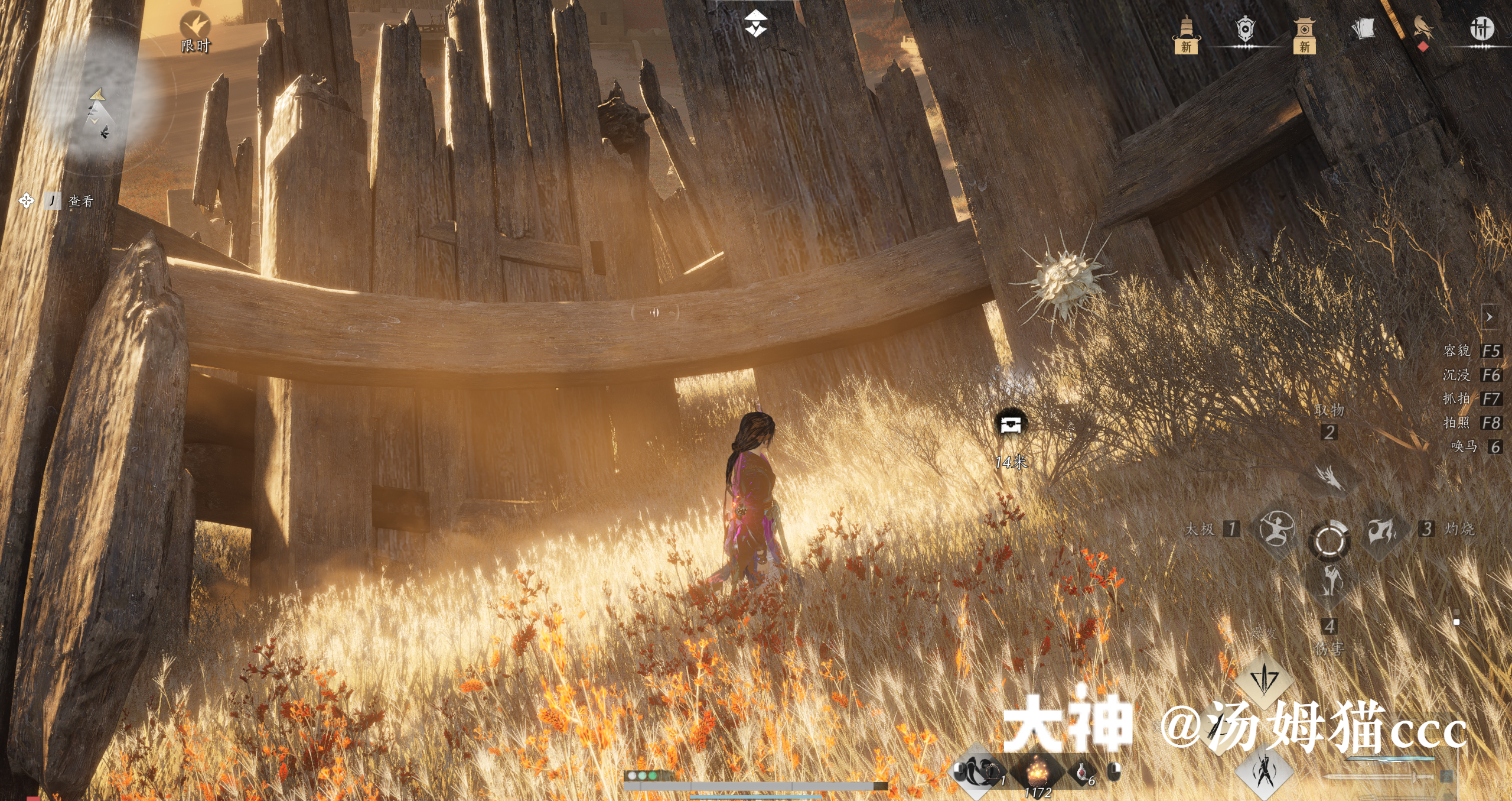 Treasure Chest in Kaifeng