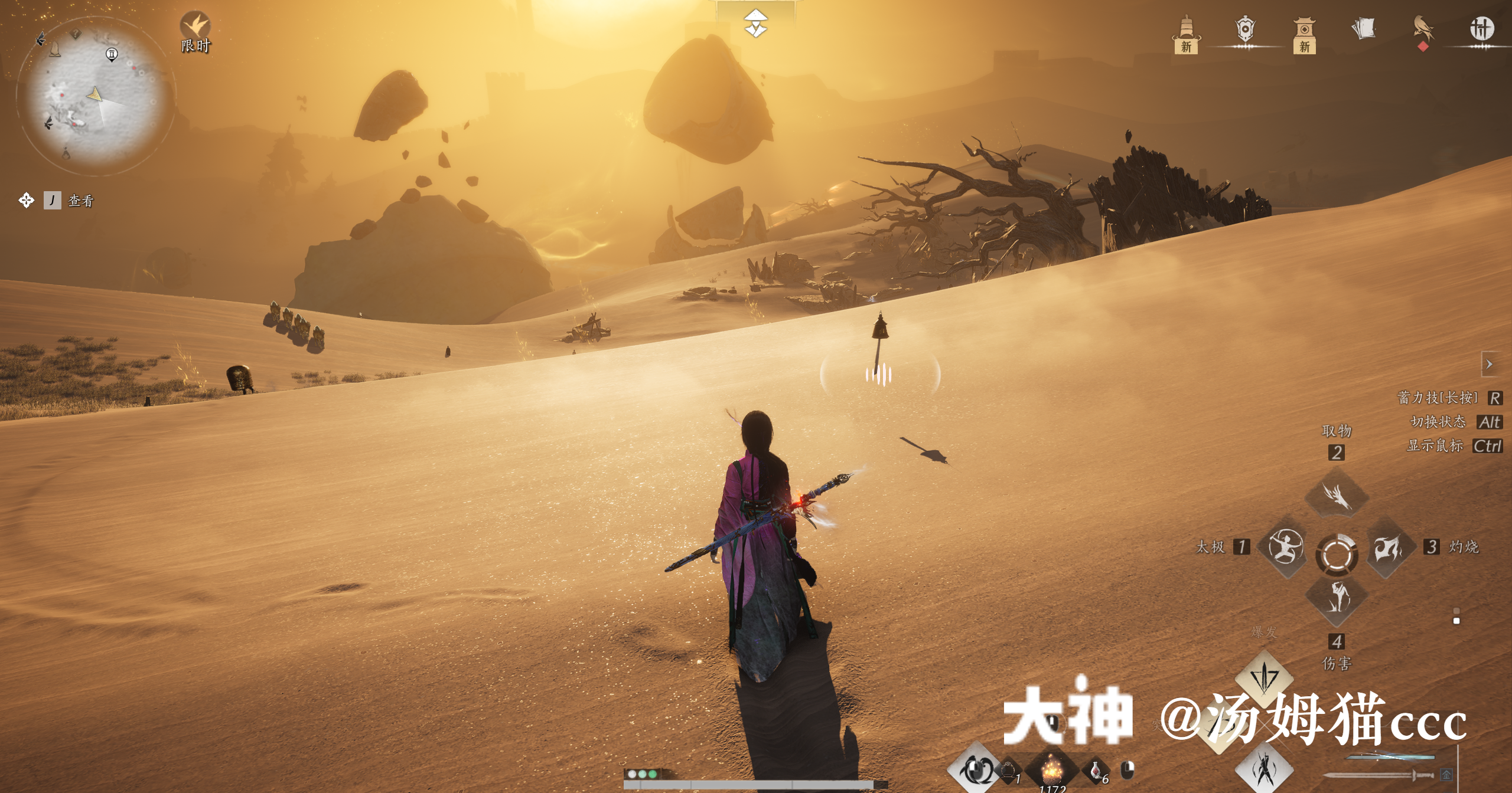 Treasure Chest in Kaifeng - Wildmane Ranch