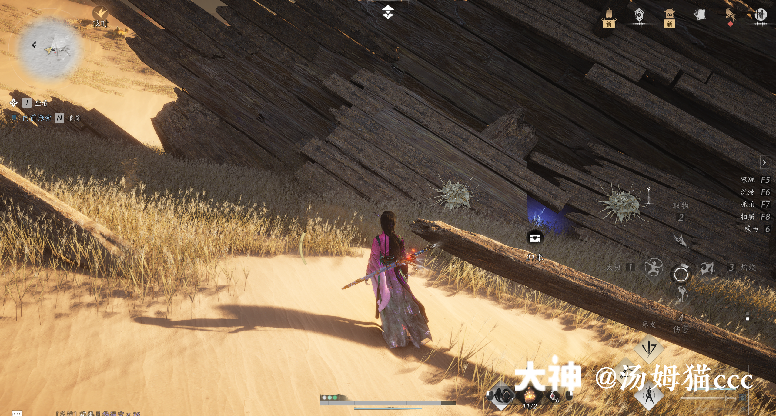 Treasure Chest in Kaifeng