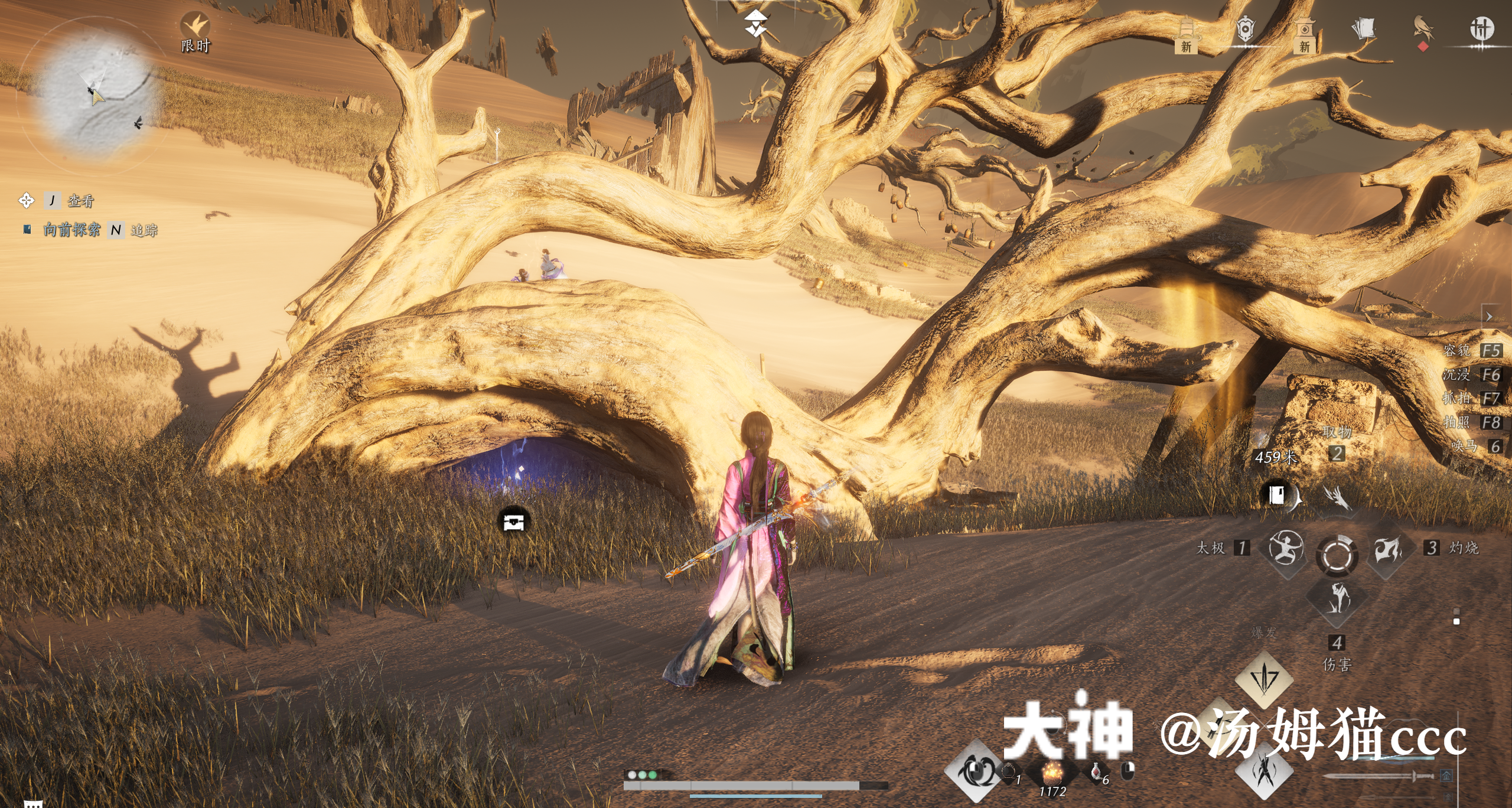 Treasure Chest in Kaifeng