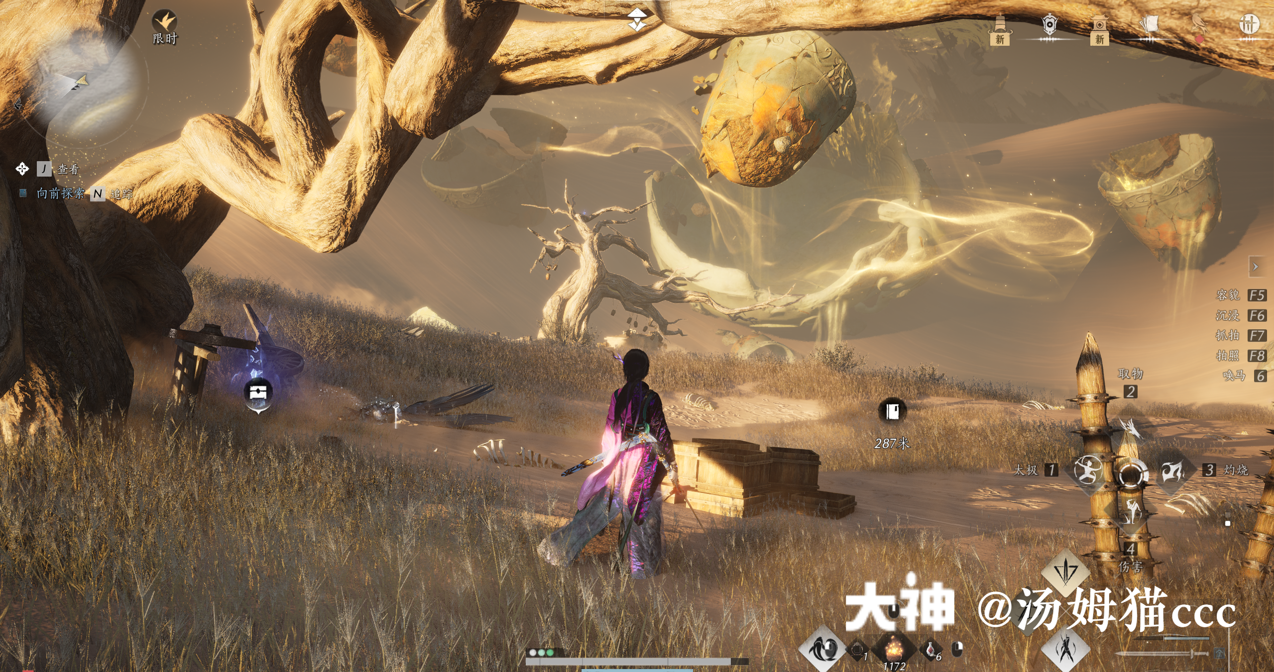 Treasure Chest in Kaifeng - Wildmane Ranch