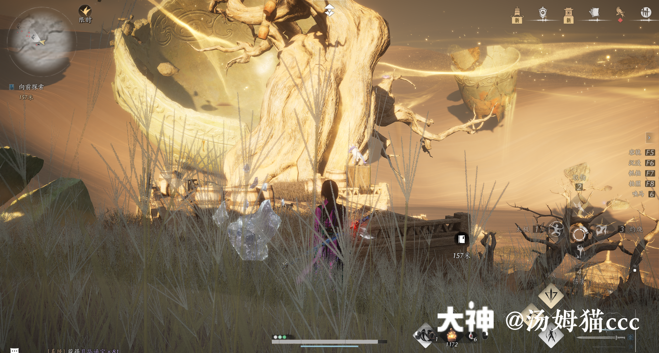 Treasure Chest in Kaifeng