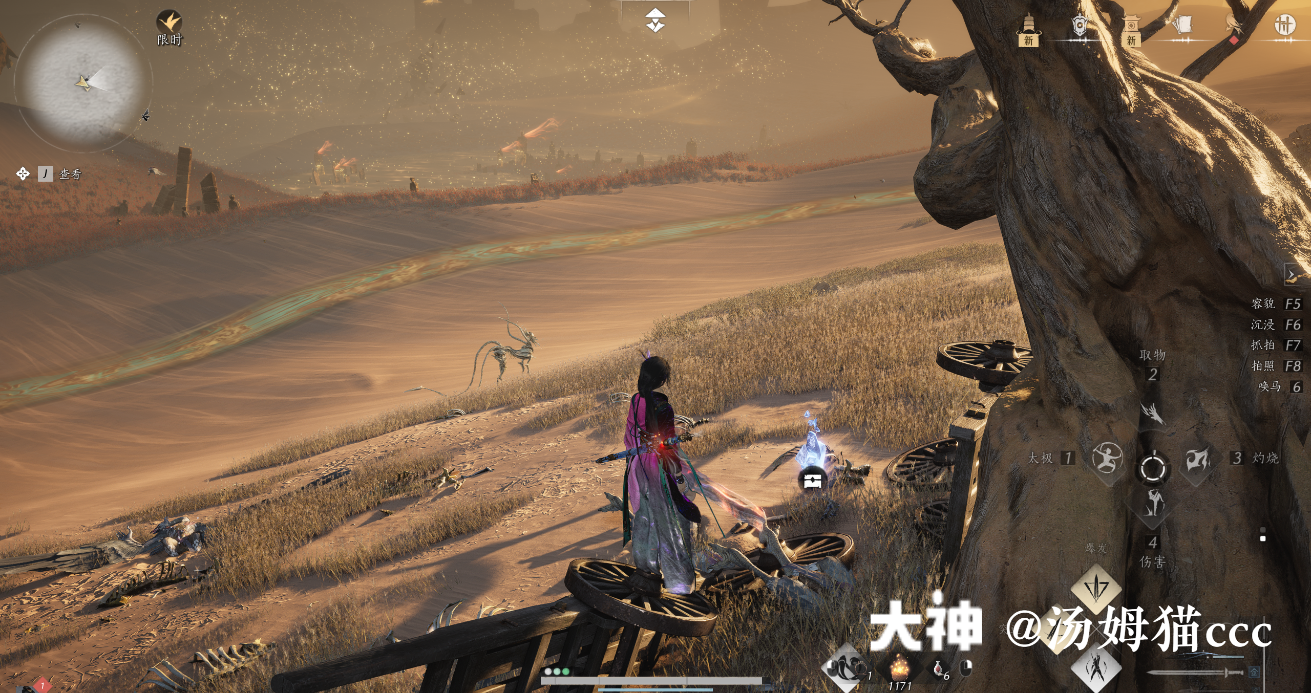 Treasure Chest in Kaifeng