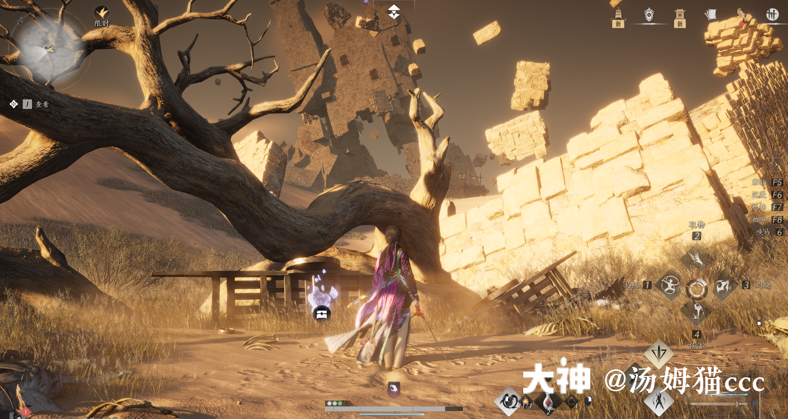 Treasure Chest in Kaifeng