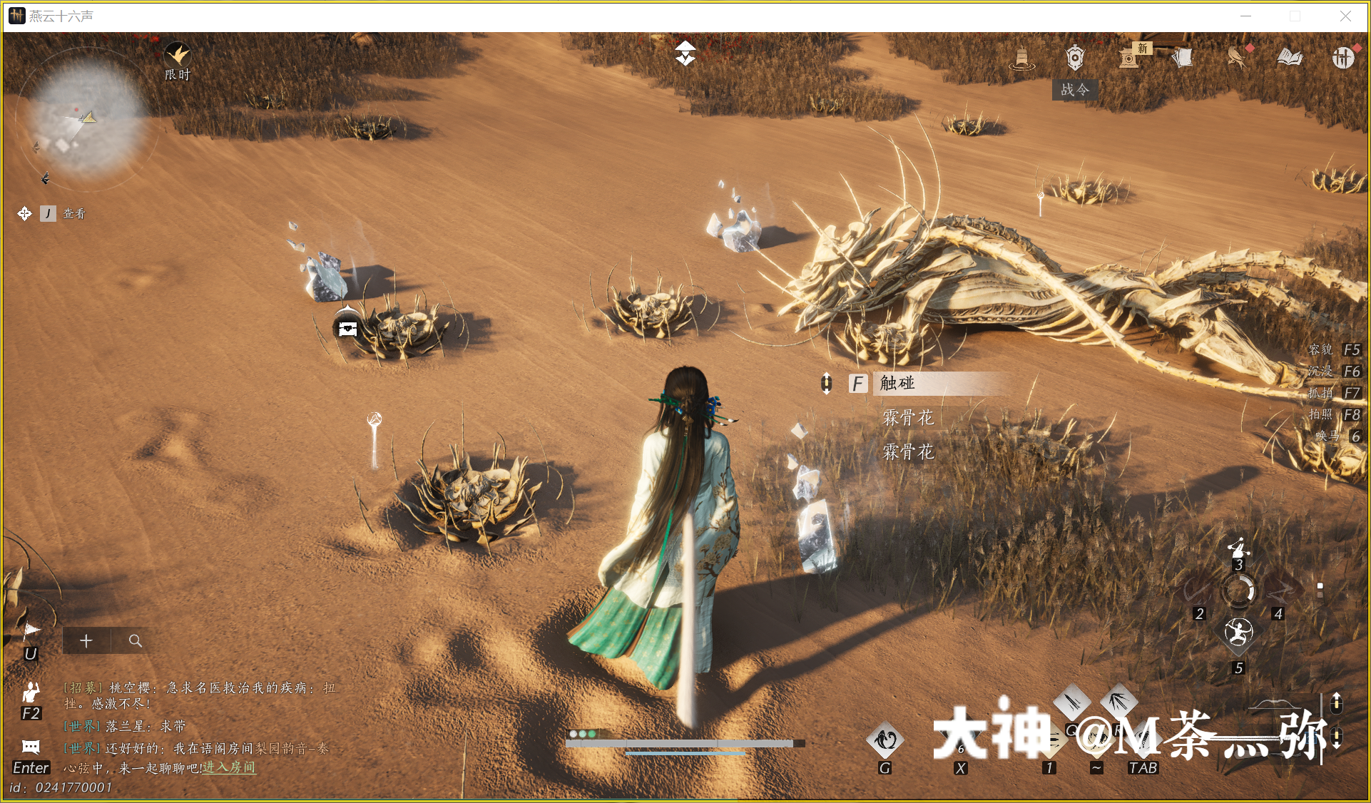 Treasure Chest in Kaifeng - Mamitu