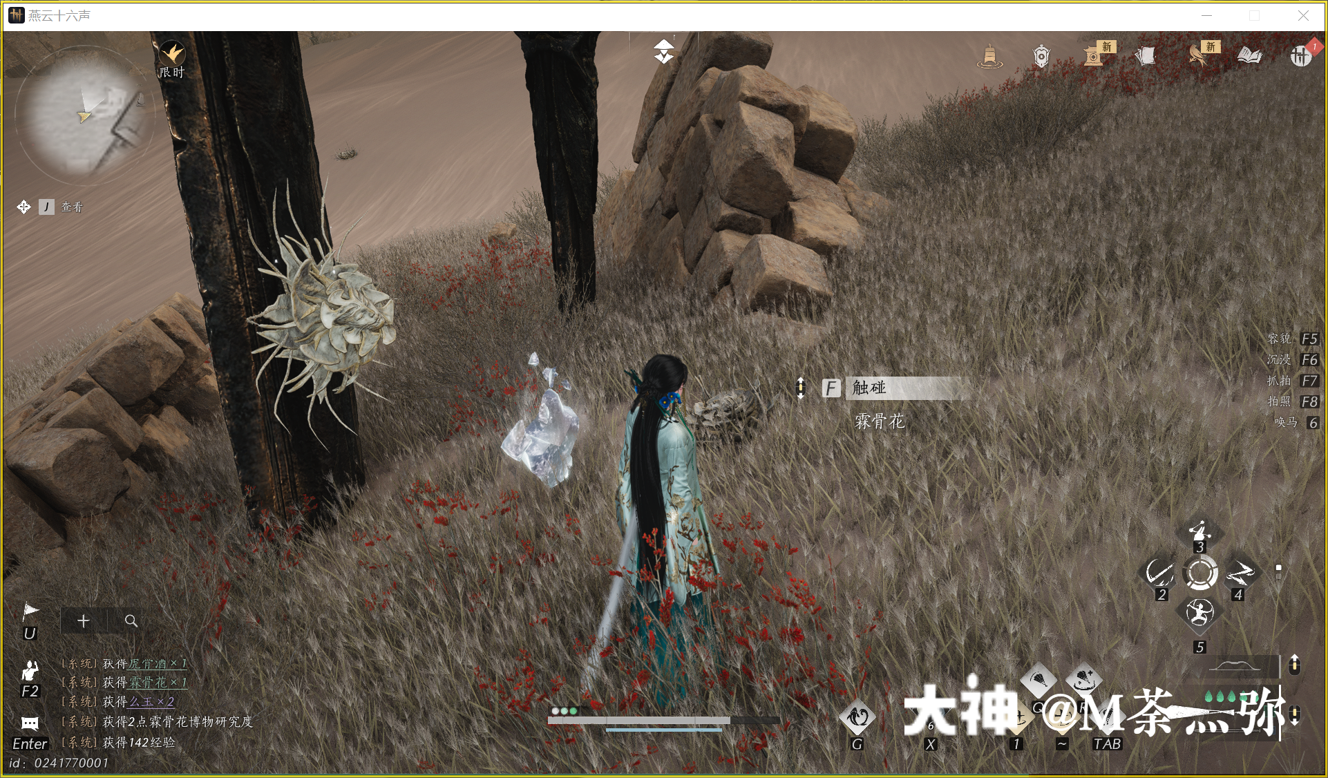 Treasure Chest in Kaifeng - Mamitu