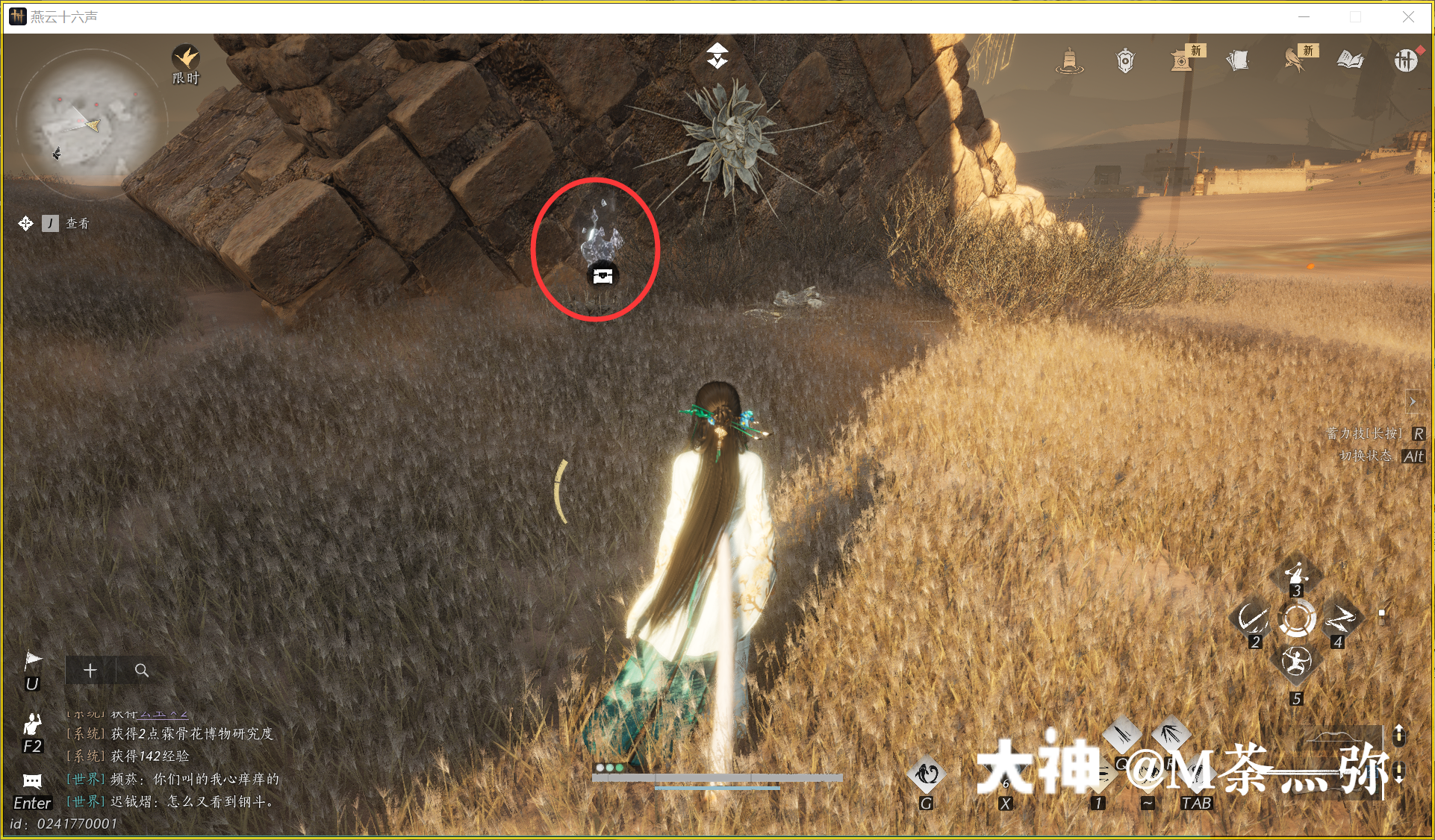 Treasure Chest in Kaifeng - Mamitu