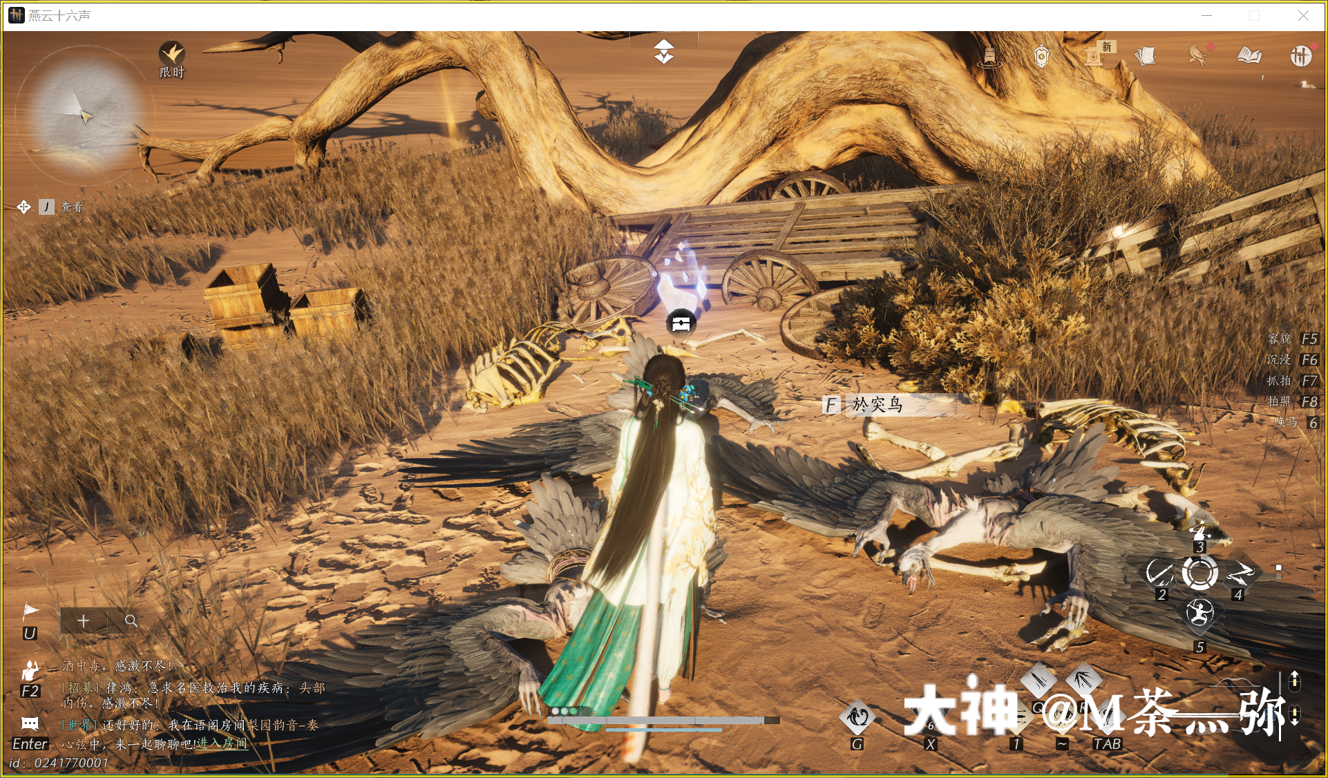 Treasure Chest in Kaifeng - Mamitu