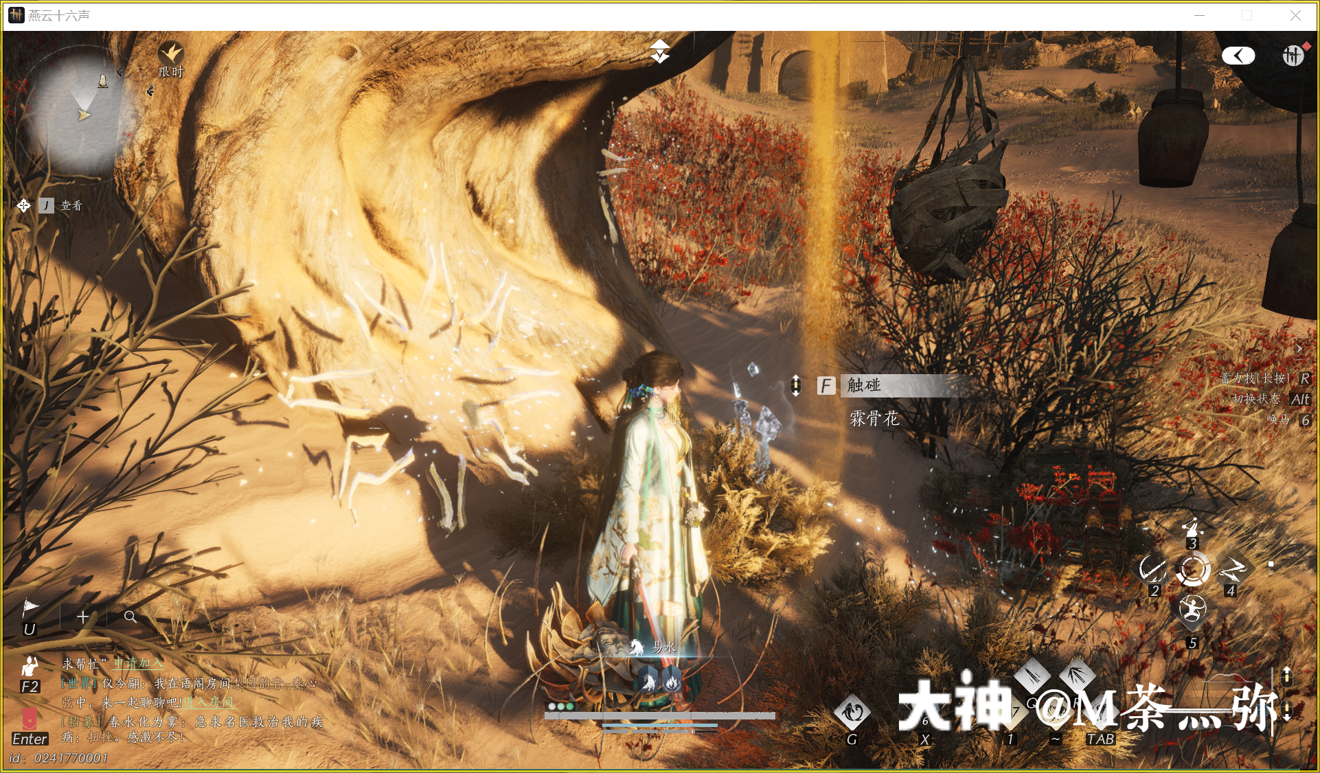 Treasure Chest in Kaifeng - Mamitu