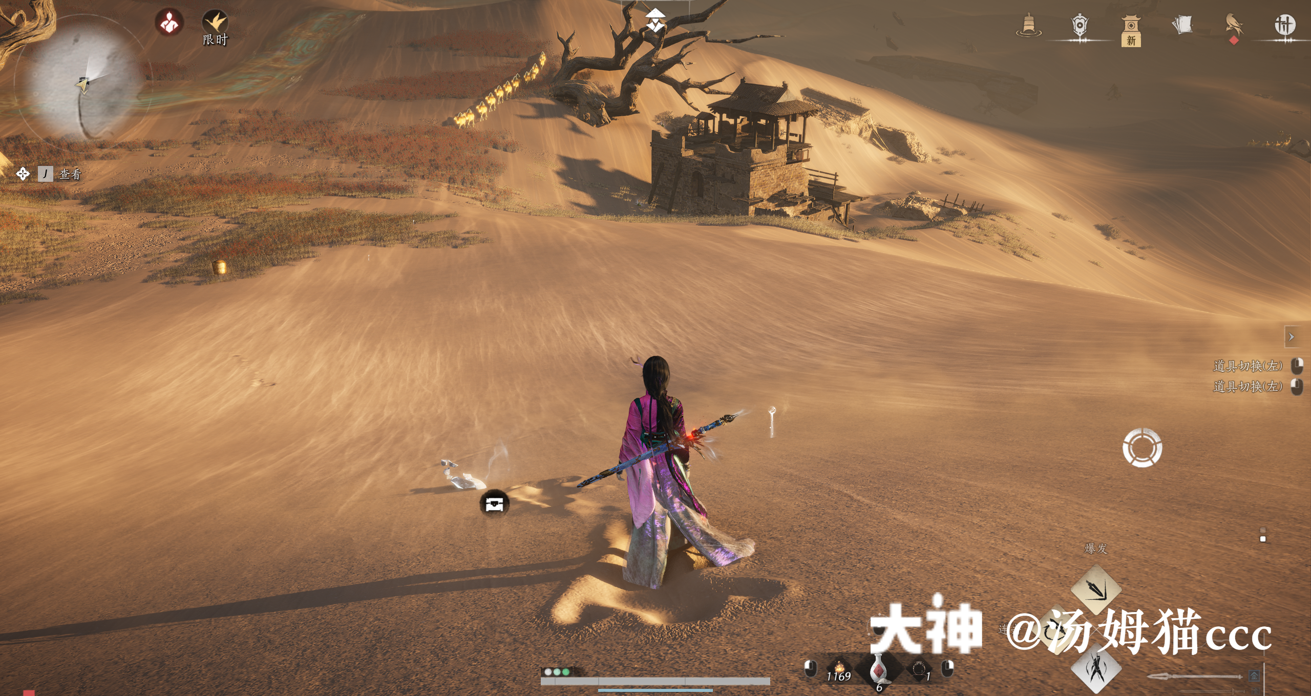 Treasure Chest in Kaifeng - Wildmane Ranch